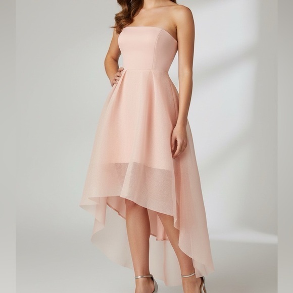 Elliatt Elysian Blush Pink Mesh Tulle High Low Mini Dress
